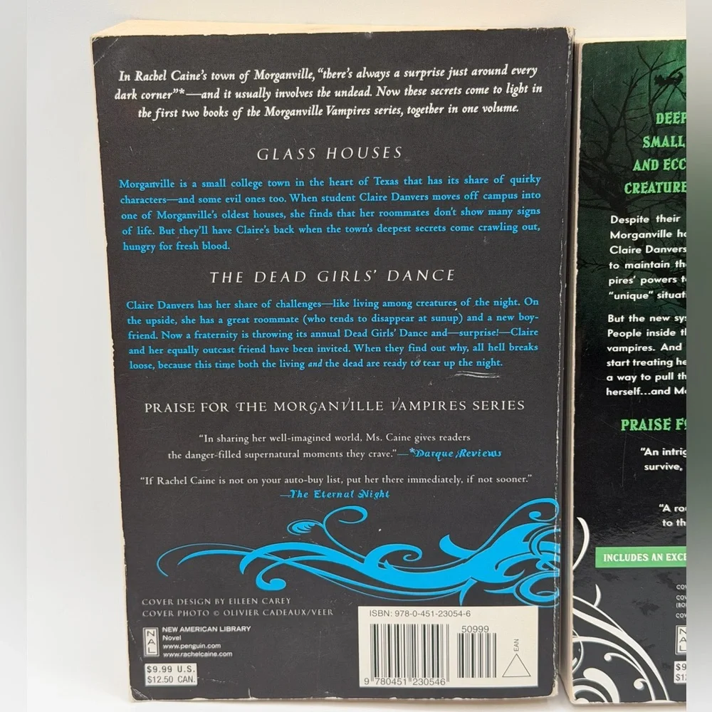 Lot Of 2 Rachel Caine Morganville Vampires Series Paperback Books - Ghost Town